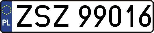 ZSZ99016