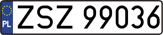 ZSZ99036