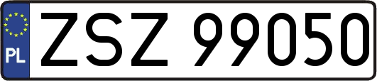 ZSZ99050
