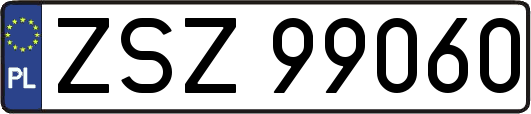 ZSZ99060