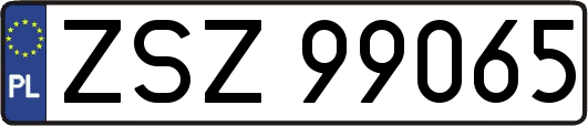 ZSZ99065