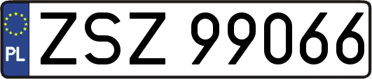 ZSZ99066
