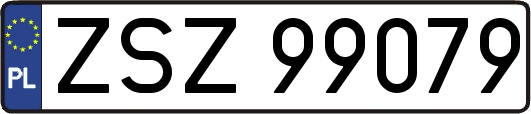 ZSZ99079