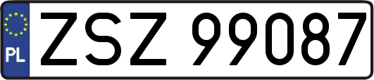 ZSZ99087