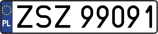 ZSZ99091