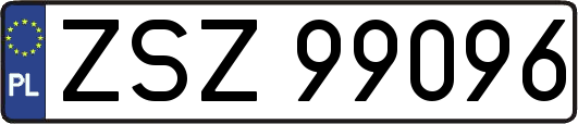 ZSZ99096