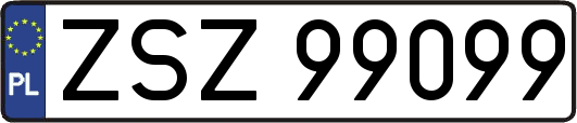 ZSZ99099