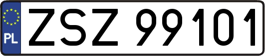 ZSZ99101