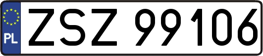 ZSZ99106