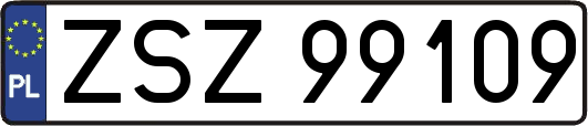 ZSZ99109