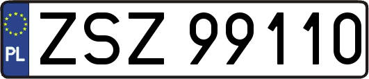 ZSZ99110