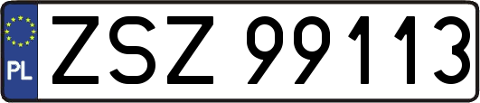 ZSZ99113