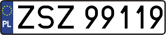 ZSZ99119