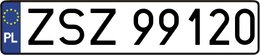 ZSZ99120