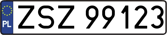 ZSZ99123