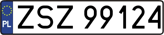 ZSZ99124