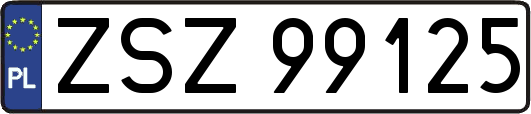 ZSZ99125