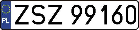 ZSZ99160