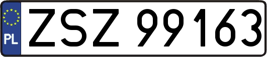 ZSZ99163