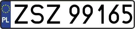 ZSZ99165