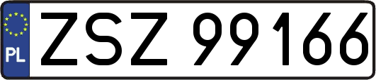 ZSZ99166