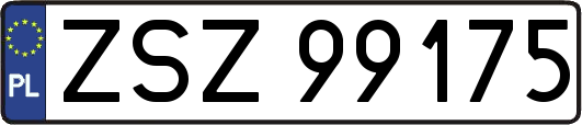 ZSZ99175