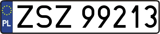 ZSZ99213