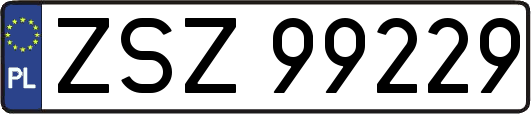 ZSZ99229