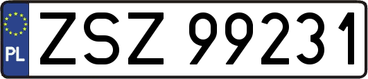 ZSZ99231
