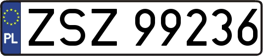 ZSZ99236