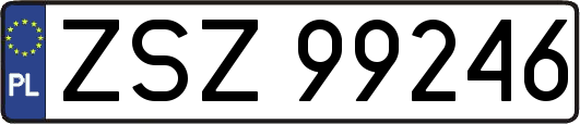 ZSZ99246