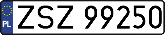 ZSZ99250