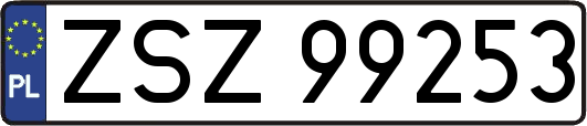 ZSZ99253
