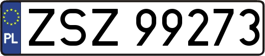 ZSZ99273