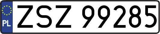 ZSZ99285