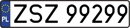 ZSZ99299