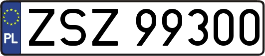 ZSZ99300