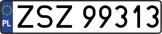 ZSZ99313