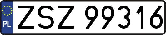 ZSZ99316