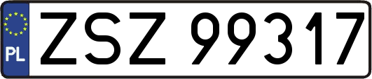 ZSZ99317
