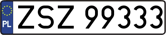 ZSZ99333