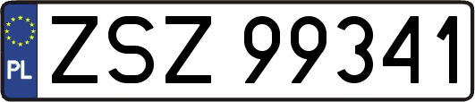 ZSZ99341