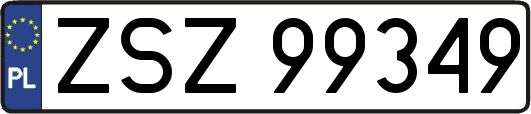 ZSZ99349