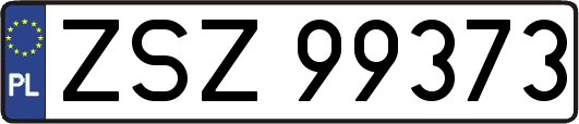 ZSZ99373