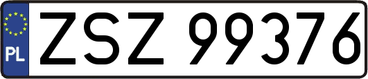 ZSZ99376