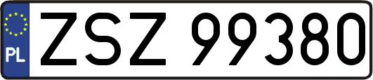 ZSZ99380