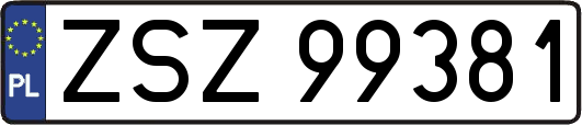 ZSZ99381