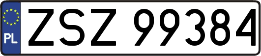 ZSZ99384