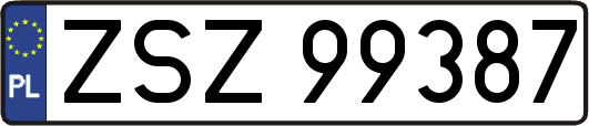 ZSZ99387