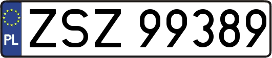 ZSZ99389